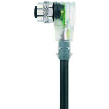 Escha - 8044219 Sensor-/Aktor-Steckverbinder, konfektioniert M12 Buchse, gewinkelt 2.00 m Polzahl Sens