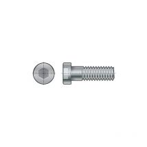 Fabory - M16x60 Socket Low Head Cap Screw (GR-8.8) (PK-50)