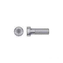 Fabory - M8x16 Socket Low Head Cap Screw (GR-8.8) (PK-200)