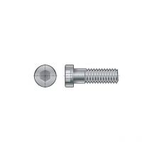 Fabory - M12x30 Socket Low Head Cap Screw (GR-8.8) (PK-100)