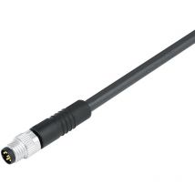Binder - 79 3805 45 08 Sensor-/Aktor-Steckver konfektioniert M8 Stecker, gerade 5.00 m Polzahl