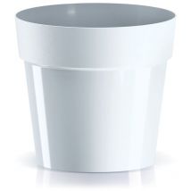 Prosperplast - Maceta cube basic , dimensiones () 124x124x114, color Blanco