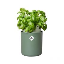Elho - Maceta autoriego aromáticas Bouncy Basil Verde