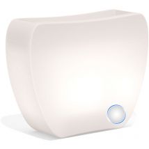 Monacis - Maceta De Resina luminosa Lampara 100x31X83x21 cm mod. Heart Led 100 Luz Blanca