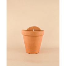 Pur Plant - Maceta Pared Terracota Grande Decorativa