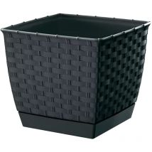Bergland - Maceta ratolla square 3,8L., dimensiones 19x19x15,9 cm, color Antracita