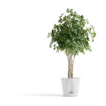 Ecopots - Maceta redonda Venice 2 Pure White + depósito de agua - ø 40 x h. 35 cm - 4 l