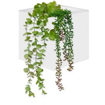 Jardinera decorativa cuadrada de pared WALLY. Medidas 18x18x18 cm. Fabricado en España