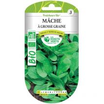 Graines de mâche à grosse graine bio Les Doigts Verts