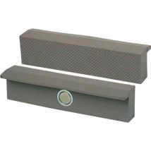 Brockhaus Heuer Magnetfix 108160 Mâchoires 108160 Largeur De Mâchoire: 160 Mm