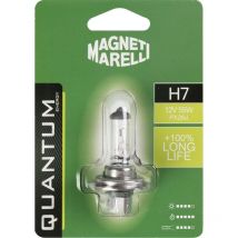 Magneti Marelli H7 lampadina singola auto long life 12V 55W attacco PX26d