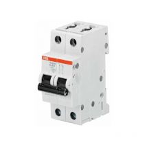 Disjoncteur S202M 2P 16A Courbe c Raccordement à vis - 15KA (2 modules) - 2CDS272001R0164