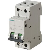 Disjoncteur Magnétothermique Automatique Siemens 5SL3516-7 16A 1P+N 230V