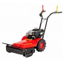 Meccanica Benassi - Mähmaschine mechanisch benassi RF219 Motor briggs&stratton Benzin arbeiten 55 cm