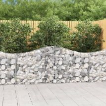 Furniture Limited - Paniers à gabions arqués 13 pcs 200x30x80/100