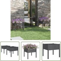Doc&et² - The Living Store Pflanzkübel 2 Stk. Grau 70x70x70 cm Massivholz Kiefer - Blumentopf - Kübel - Gartenmöbel - Holzpflanze - Outdoor Deko