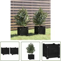 Devenirriche - The Living Store Pflanzkübel 2 Stk. Schwarz 31x31x31 cm Massivholz Kiefer - Blumentopf - Holztöpfen - Kübeln - Gartendeko - Kiefernholz