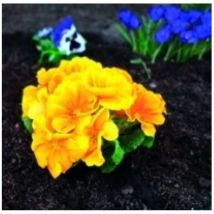 Natuur - Malla Jardin 1,5X10M Antihierba Pp Marr Nt124554