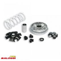 Malossi Variator Für Roller Suzuki 125 Burgman Nach 2001 5111324