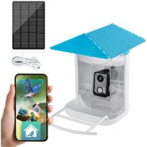 Mangeoire à oiseaux avec application caméra WiFi SP-BF13