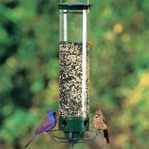 Mangeoire à oiseaux, mangeoires à oiseaux à l'épreuve des écureuils, mangeoires à oiseaux pour l'extérieur à l'épreuve des écureuils avec rotation