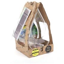 Mangeoire de fenêtre à suspendre ou à ventouses