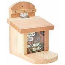 Mangeoire pour écureuil