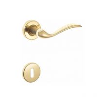 Maniglia doppia curva con rosette in ottone lucido