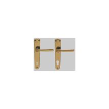 Maniglia Ginevra Con Placca Foro Yale - Colore Argento