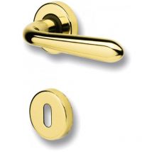 Maniglia Ghidini GM05 con rosetta zgctol