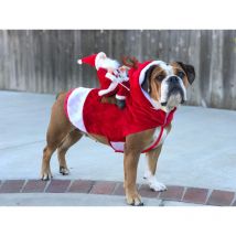 Manteau pour Chien Noel, avec Le Père Noël sur Son Chat Pull Chien Noel Rouge - L