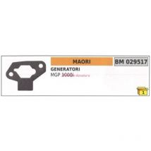 Mgp 1000i Lichtmaschine Dichtung 029517 - Maori