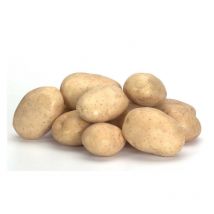 Marabel 100 Plants de pommes de terre