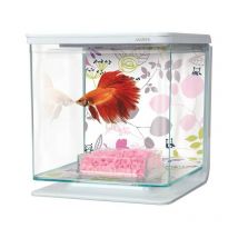 Betta Kit - Floral - Marina