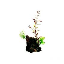 Marina - Deco Wood Tronco con Plantas m