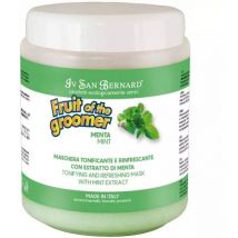 Iv San Bernard - acondicionador fruit of the groomer de menta 1 litro mascara de menta mascarilla para PERROS1 litro mascarilla acondicionadora para