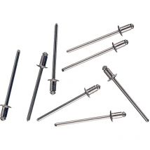Rivetti Strutturali in Alluminio 3 x 10 mm s/s