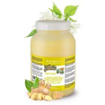 Conditioner Frucht Des Groomers Ingwer Und Holunder 1 Liter Exclusives Angebot