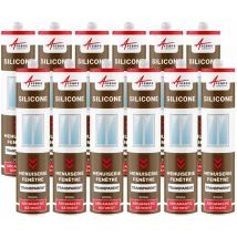 Arcane Industries - Mastic silicone fenêtre menuiserie étanchéité - 300 ml x 12 Transparent