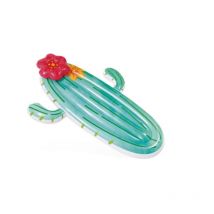 Matelas gonflable Intex Cactus