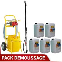 Pack démoussage Fobi