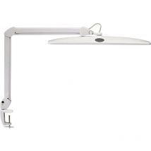 Maul - Work 8205202 Lampe led de bureau avec pince led led intégrée 20 w cee: d (a - g) blanc Y148381