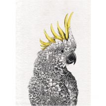 Maxwell & Williams Marini Ferlazzo Birds Cloth de Serviette de cuisine avec motif de Cockatoo de Australian Yellow Cap de 100% coton, 50 x 70 cm