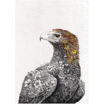 Maxwell & Williams Marini Ferlazzo Birds Küchentuch De Küchentuch Mit De Australian Bold Eagle Design De 100% Baumwolle, 50 X 70 Cm - White