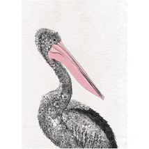 Maxwell & Williams Marini Ferlazzo Birds Serviette de cuisine de Serviette de cuisine avec design de Australian Gang-Gang Cockatoo de 100% coton, 50