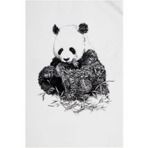 Maxwell & Williams Marini Ferlazzo Küchentuch de Design de Bär Panda de 100% Baumwolle, 50 x 70 cm - White