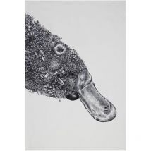 Maxwell & Williams Marini Ferlazzo Küchentuch de Design de Entenschnabel Schnabeltier de 100% Baumwolle, 50 x 70 cm - Weiß