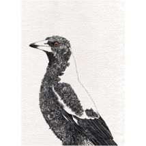 Maxwell & Williams Marini Ferlazzo Oiseaux Torchon de cuisine de Design de pie australienne de 100% coton, 50 x 70 cm - White