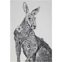 Galozzoit - Maxwell & Williams Marini Ferlazzo Paño de Cocina con Diseño de Canguro de 100% Algodón, 50 x 70 cm – Blanco