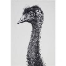 Colnk - Maxwell & Williams Marini Ferlazzo Paño de Cocina con Diseño de Emú de 100% Algodón, 50 x 70 cm – Blanco